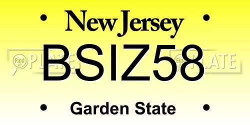 BSIZ58 New Jersey License Plate