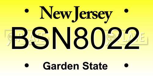 BSN8022 New Jersey License Plate