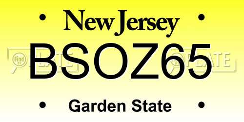 BSOZ65 New Jersey License Plate