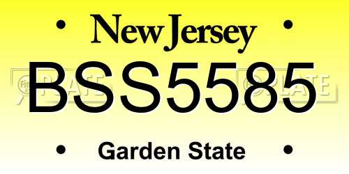 BSS5585 New Jersey License Plate
