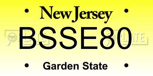 BSSE80 New Jersey License Plate