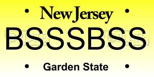 BSSSBSS New Jersey License Plate