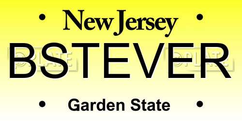 BSTEVER New Jersey License Plate