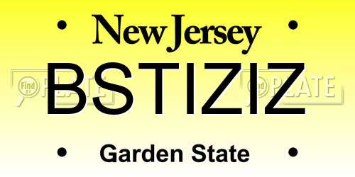 BSTIZIZ New Jersey License Plate