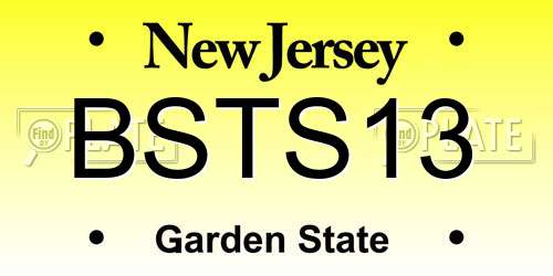 BSTS13 New Jersey License Plate