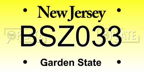 BSZ033 New Jersey License Plate