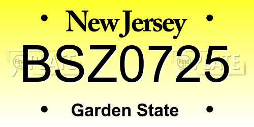 BSZ0725 New Jersey License Plate
