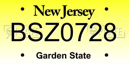 BSZ0728 New Jersey License Plate
