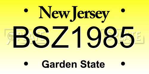 BSZ1985 New Jersey License Plate
