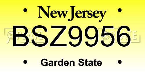 BSZ9956 New Jersey License Plate