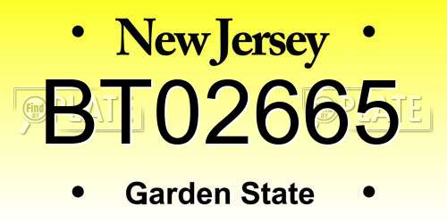 BT02665 New Jersey License Plate