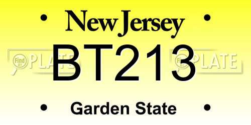 BT213 New Jersey License Plate