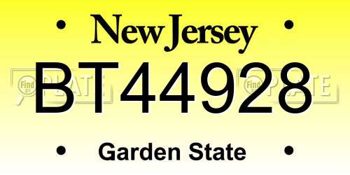 BT44928 New Jersey License Plate