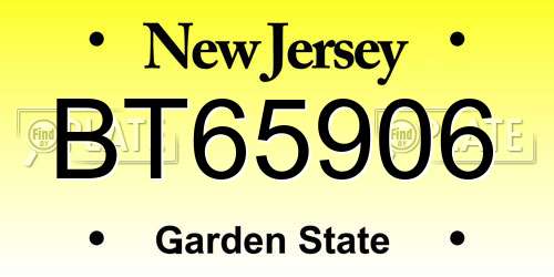 BT65906 New Jersey License Plate