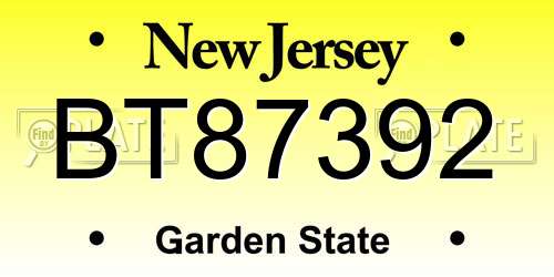 BT87392 New Jersey License Plate
