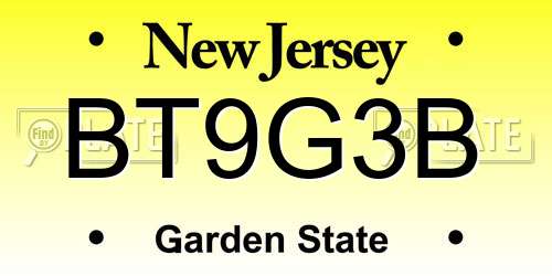BT9G3B New Jersey License Plate
