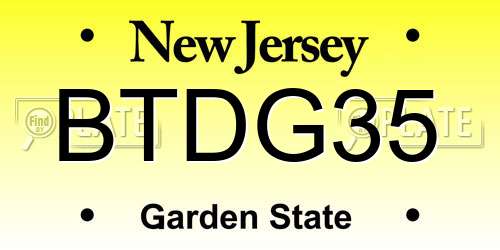 BTDG35 New Jersey License Plate