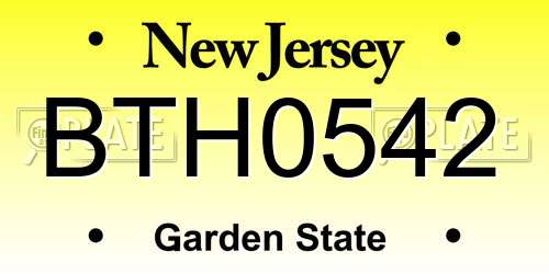 BTH0542 New Jersey License Plate