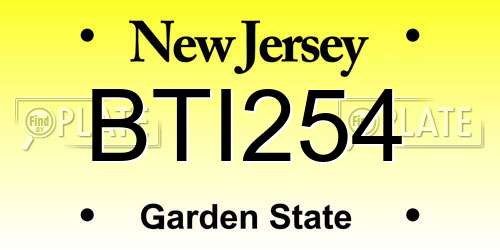 BTI254 New Jersey License Plate