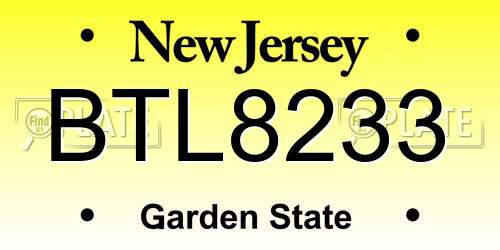 BTL8233 New Jersey License Plate