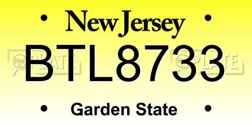 BTL8733 New Jersey License Plate