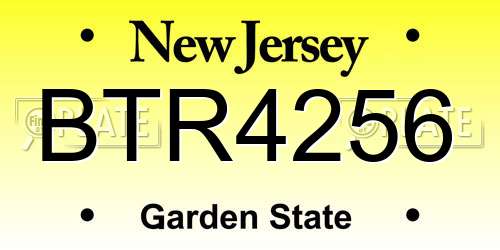 BTR4256 New Jersey License Plate