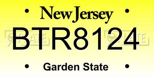 BTR8124 New Jersey License Plate