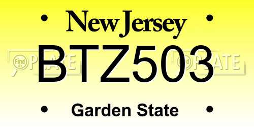 BTZ503 New Jersey License Plate