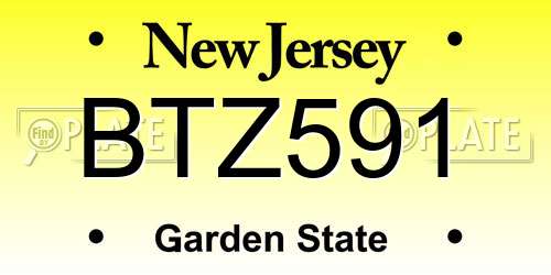 BTZ591 New Jersey License Plate