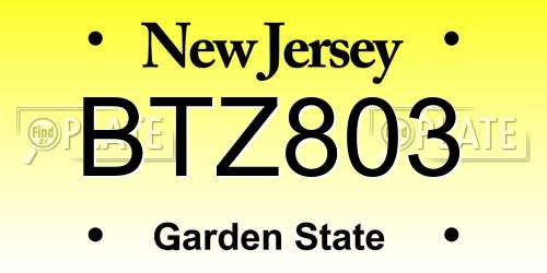 BTZ803 New Jersey License Plate