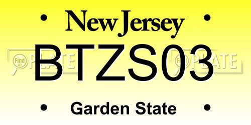 BTZS03 New Jersey License Plate