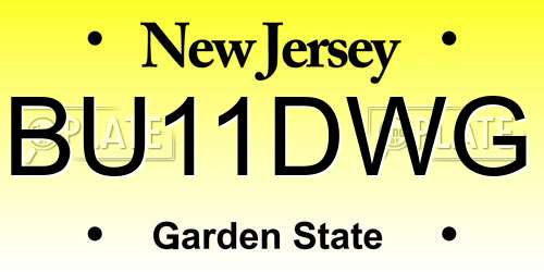 BU11DWG New Jersey License Plate
