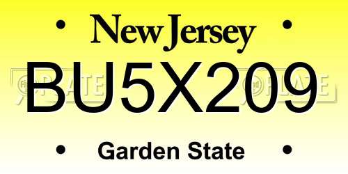 BU5X209 New Jersey License Plate