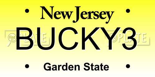 BUCKY3 New Jersey License Plate