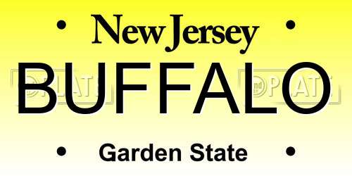 BUFFALO New Jersey License Plate