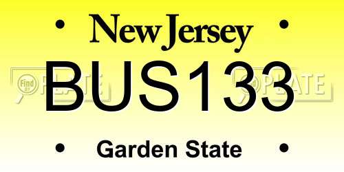 BUS133 New Jersey License Plate