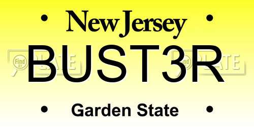 BUST3R New Jersey License Plate