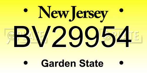 BV29954 New Jersey License Plate