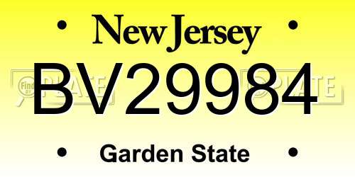 BV29984 New Jersey License Plate