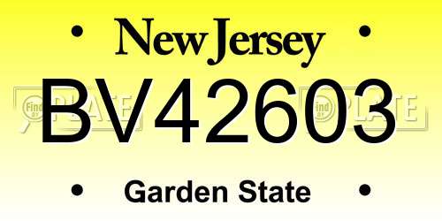 BV42603 New Jersey License Plate