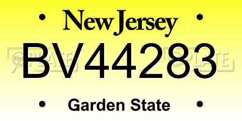 BV44283 New Jersey License Plate