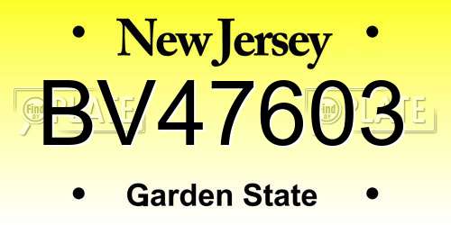 BV47603 New Jersey License Plate