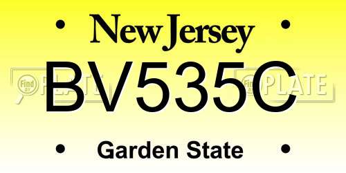 BV535C New Jersey License Plate