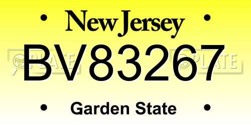 BV83267 New Jersey License Plate