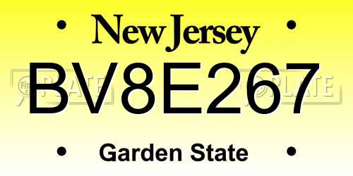 BV8E267 New Jersey License Plate