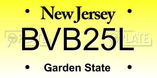 BVB25L New Jersey License Plate