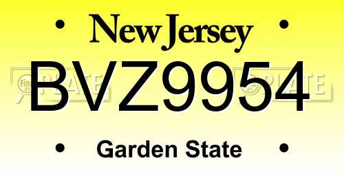 BVZ9954 New Jersey License Plate