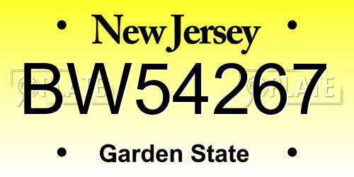 BW54267 New Jersey License Plate