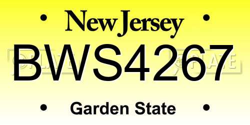 BWS4267 New Jersey License Plate