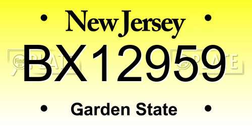 BX12959 New Jersey License Plate